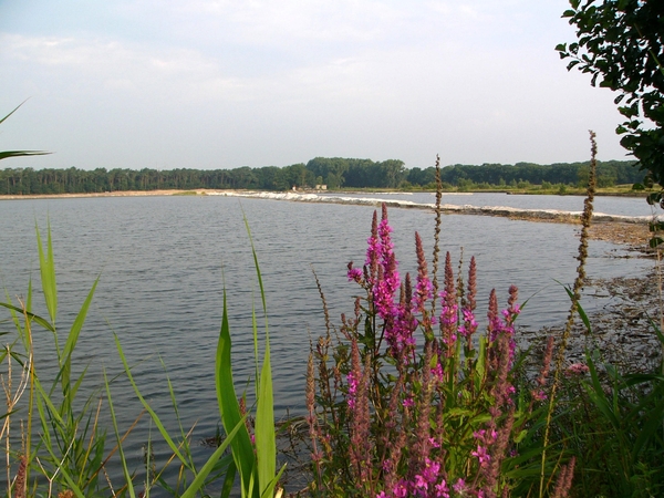 Dessel - Groeve Donk 03