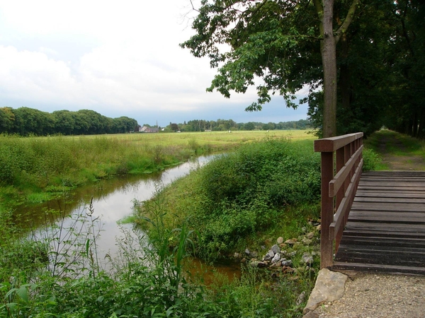 Dessel - Witte Nete 03