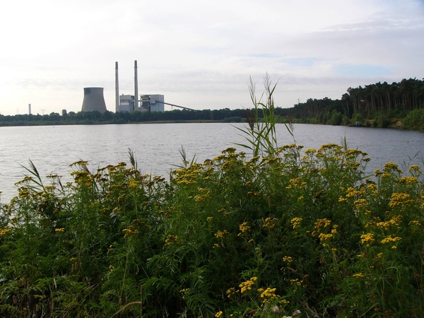 Dessel - Zandwinning 31