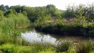 P1280469