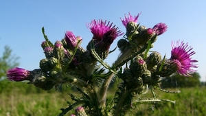 P1280481