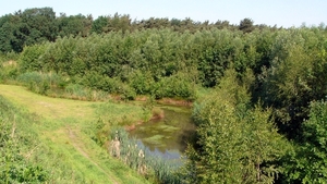 P1280533