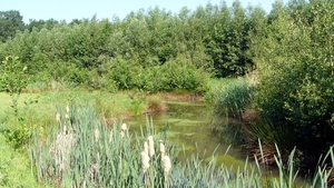 P1280534