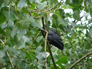 P1290479