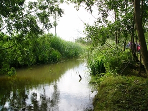 P1290503