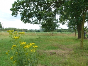 P1290519