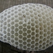 P1290540