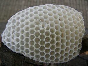 P1290540