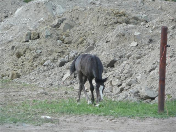 20110702 Vidtsendag 070