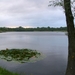 P1290415