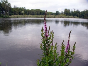 P1290419