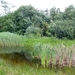 P1290425