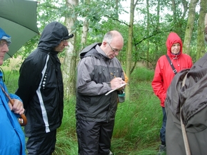 dertig uren 027