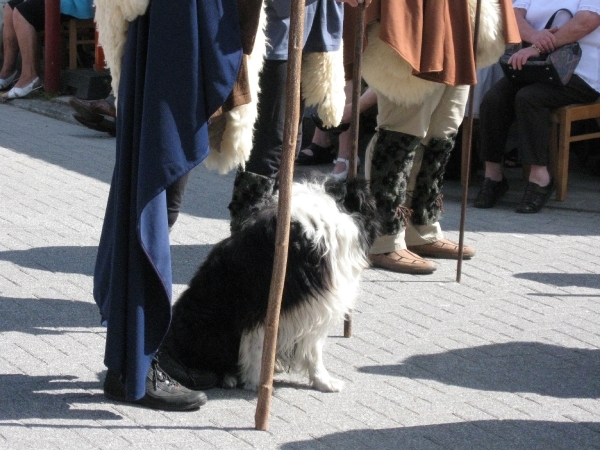 Meigem H.bloedprocessie 2011 052