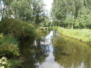 Fel Naturel Lokeren Juli 2011 016