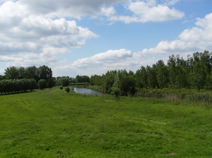 Fel Naturel Lokeren Juli 2011 022