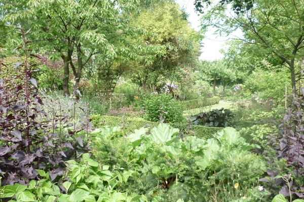 P1020130