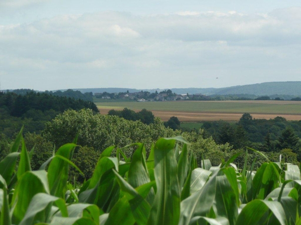 marche Adeps wandeling Falaen Ardennen