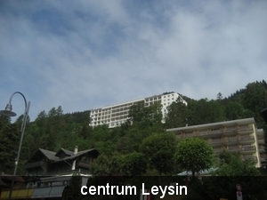 Leysin 2011 009