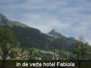 Leysin 2011 021