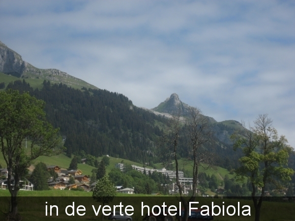 Leysin 2011 021