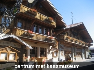 Leysin 2011 057