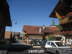 Leysin 2011 060