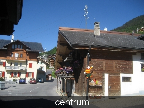 Leysin 2011 061