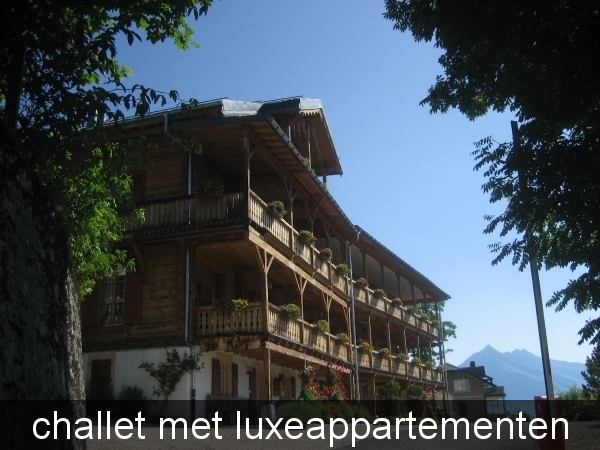 Leysin 2011 072