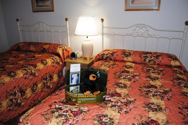 Mijn heeft een teddybeer klaarliggen op het bed