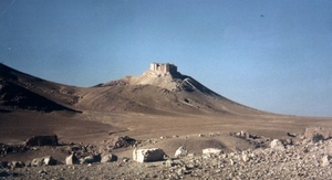 OUD KASTEEL NABIJ PALMYRA