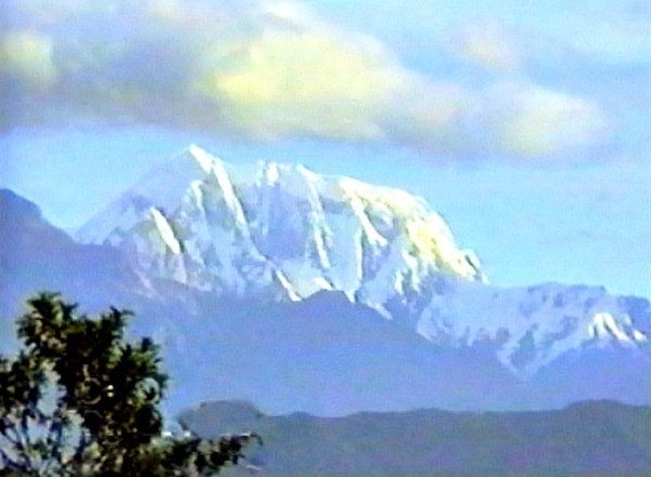 11-HIMA 1 (2)