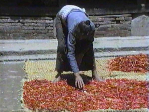49-Momentopname%252011%2520%252825-11-2012%25203-11%2529%2520%252