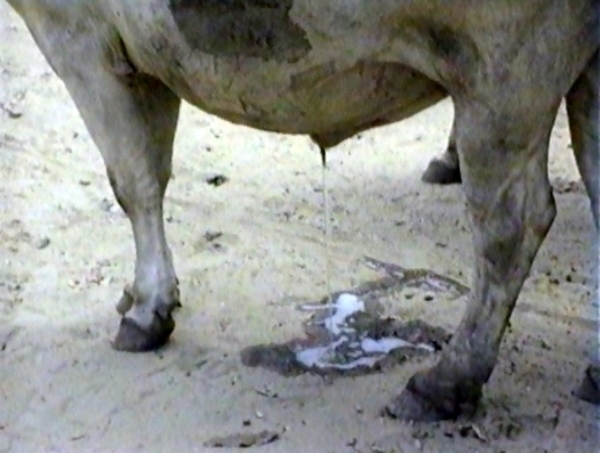 Momentopname%25203%2520%252828-11-2012%252012-38%2529%2520%25282%