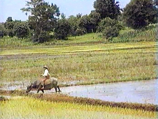 Momentopname%25204%2520%252828-11-2012%25204-16%2529%2520%25282%2