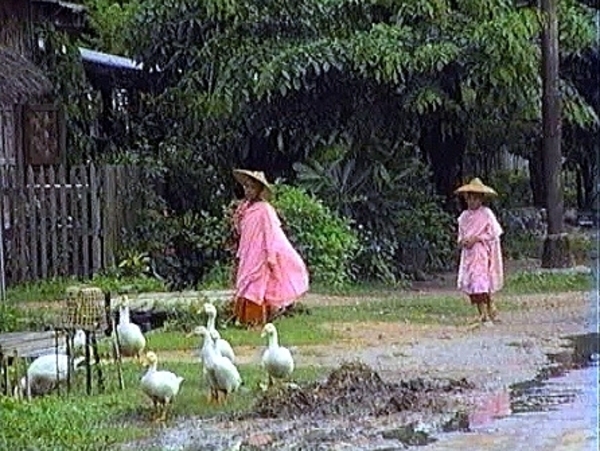 Momentopname%25209%2520%252828-11-2012%25204-25%2529%2520%25282%2