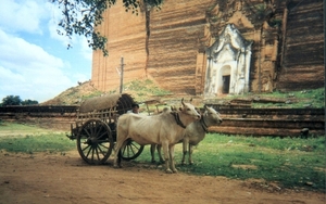 OSSENKAR0001