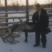 RENDIER IN LAPLAND ONONTBEERLIJK