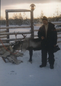 RENDIER IN LAPLAND ONONTBEERLIJK