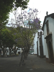 P1010001
