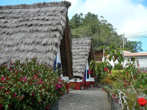 P1010067