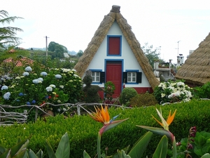 P1010091