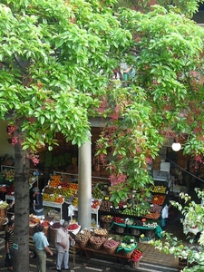 P1010182