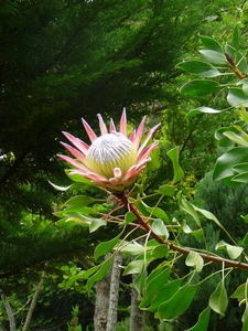 P1010200