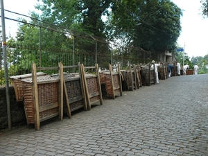 P1010230