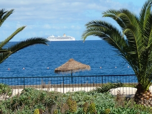 P1010246