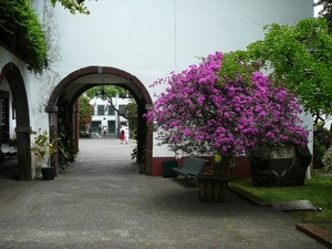 P1010279