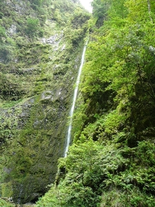 P1010317