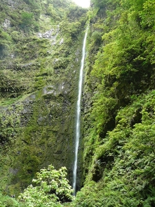 P1010319
