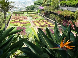 P1010340